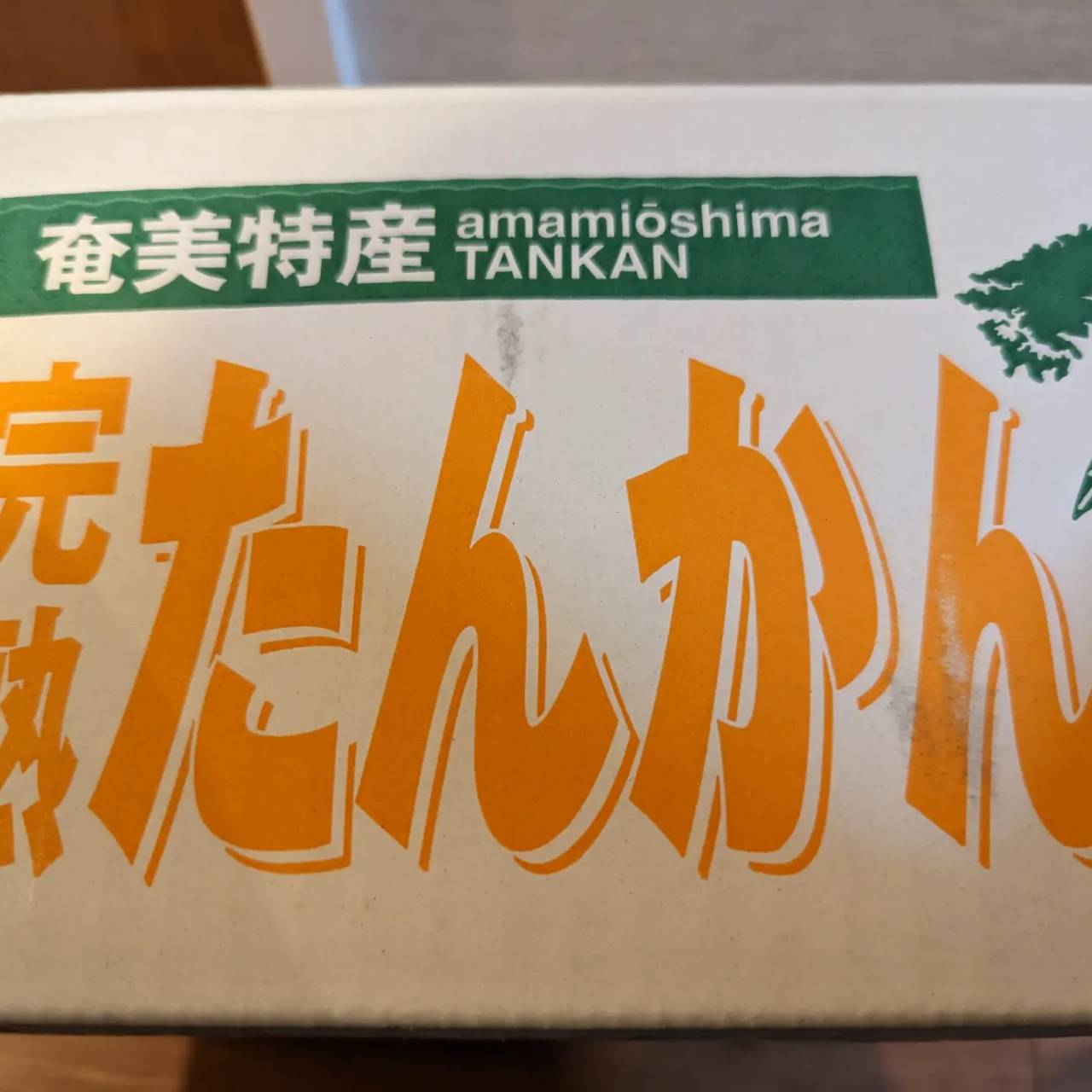 【鹿児島・奄美大島】手ぶら参加OK！季節ごとに楽しめる旬のフルーツや野菜狩り体験《赤みかん・たんかん・すももなど》（No.92）