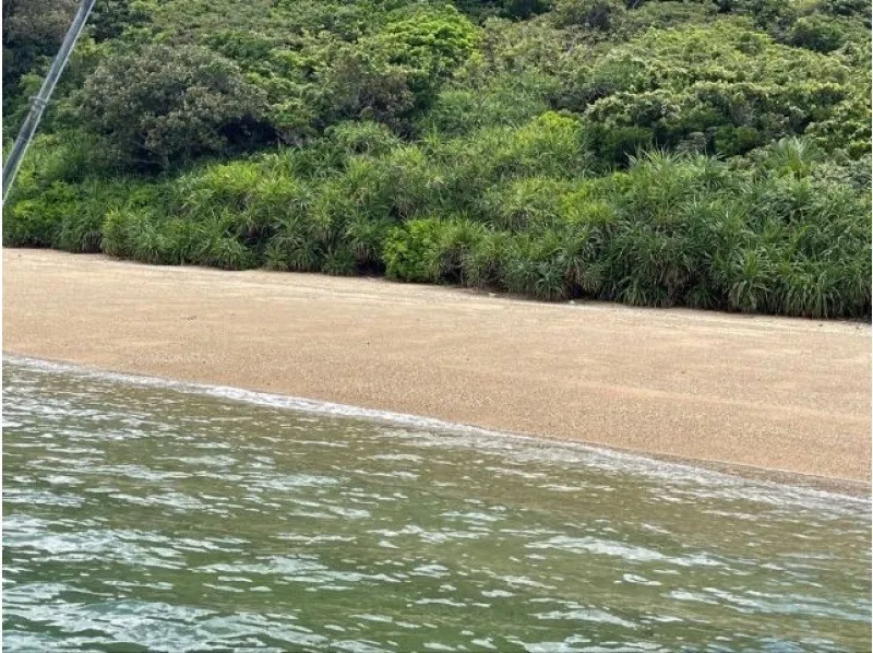 【鹿児島・奄美】1名様から参加可能★加計呂麻島を1日満喫！SUP＆シュノーケリング体験ツアー《軽食・お弁当付き》（No.96）