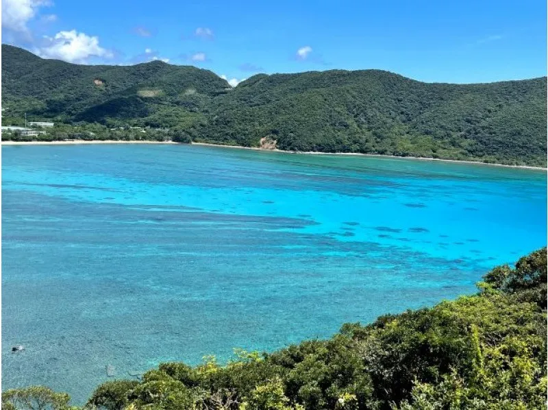 【奄美大島/半日】1名参加OK！穏やかで透明度バツグンの大島海峡を贅沢クルージング☆シュノーケル＆釣り具貸出あり（No.112）