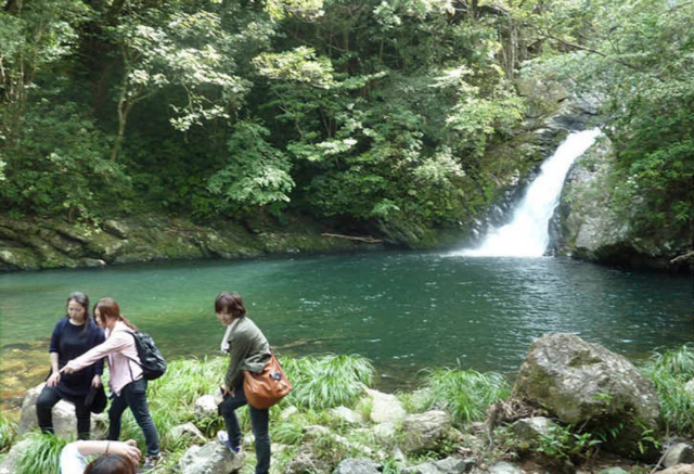 奄美大島が世界自然遺産に登録された理由とは？旅行中の注意点やおすすめのアクティビティをご紹介！