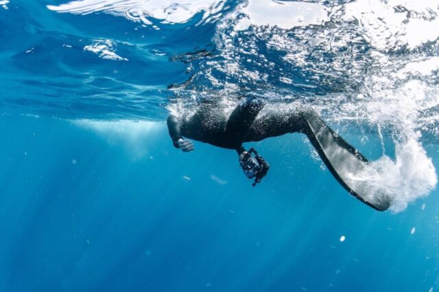 【奄美大島・冬季限定】シュノーケリングで水面からザトウクジラが間近で見れる！半日or1日ホエールスイムツアー