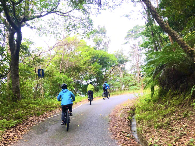 奄美大島レンタルバイク（Eバイク）