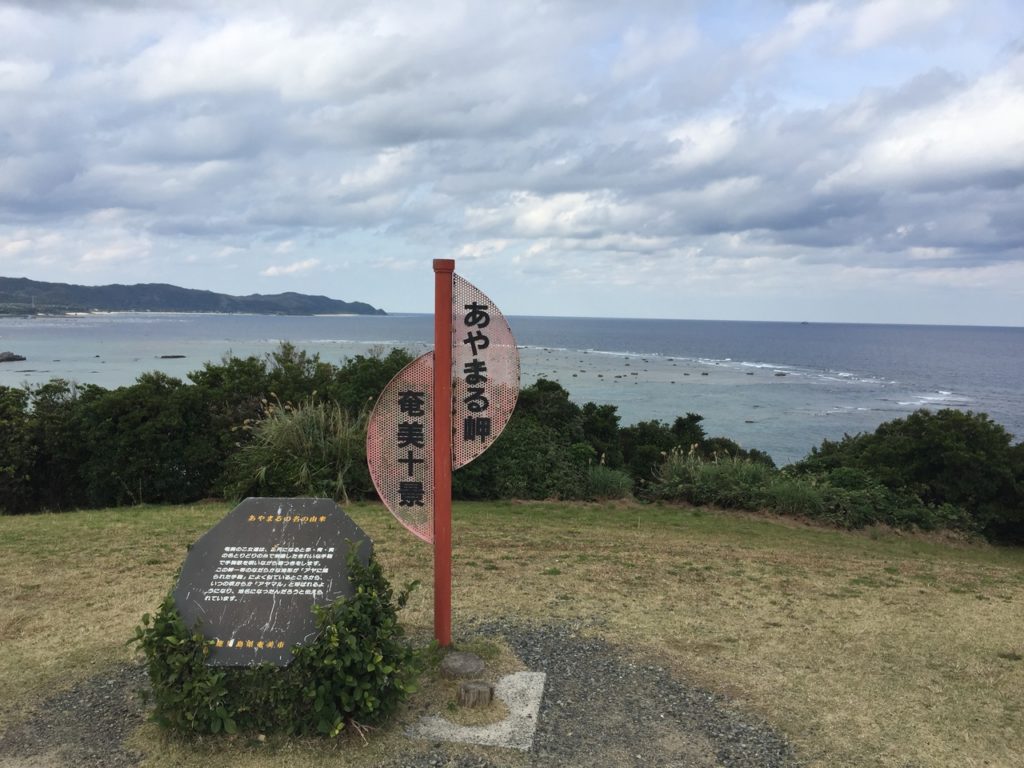 奄美大島の自然を満喫！絶対に行きたい癒しの絶景スポット＆アクティビティ