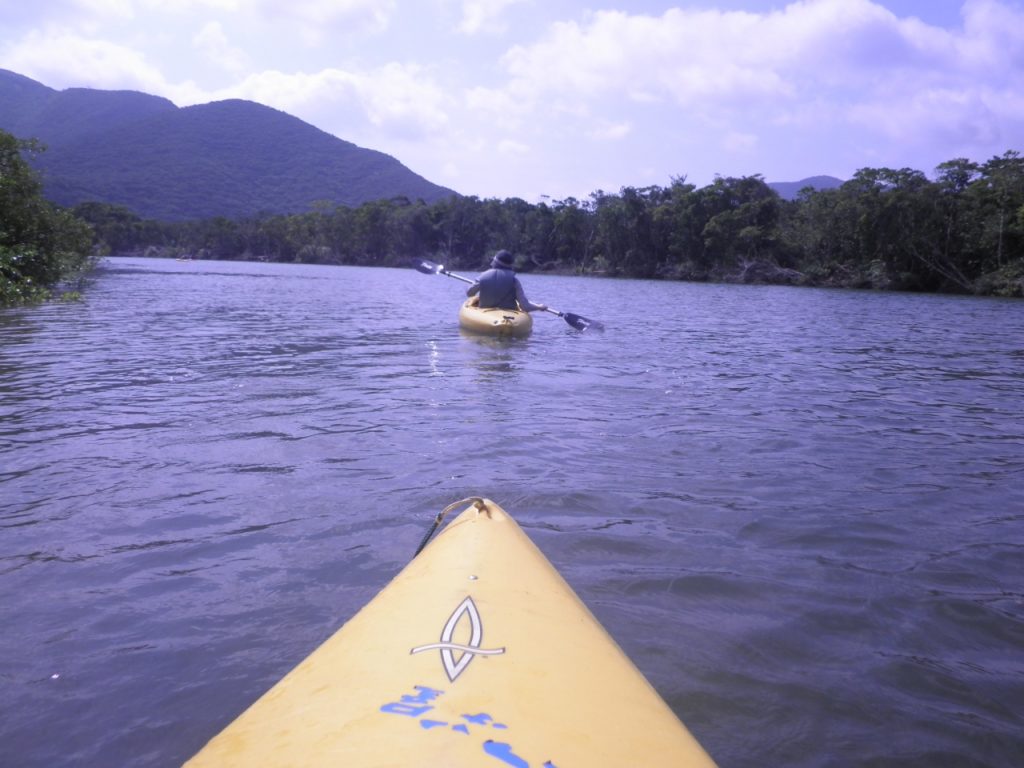 奄美大島 3泊4日 モデルコース　カヤック　マングローブ