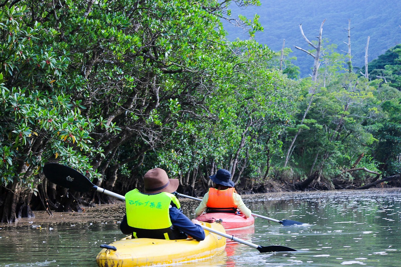 奄美でマングローブカヌー体験 おすすめの服装 プランご紹介 奄美ツアーズ