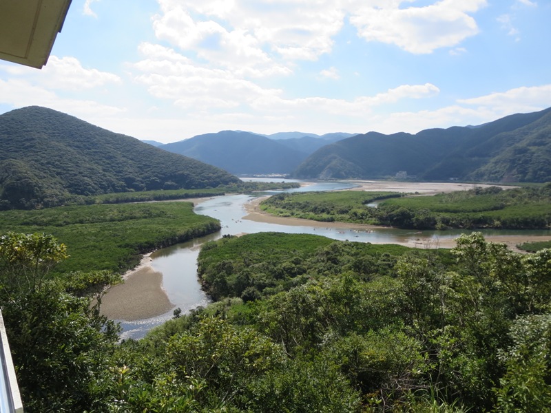 奄美大島の珍しい生き物図鑑｜固有種や絶滅危惧種に出会えるスポットも紹介！