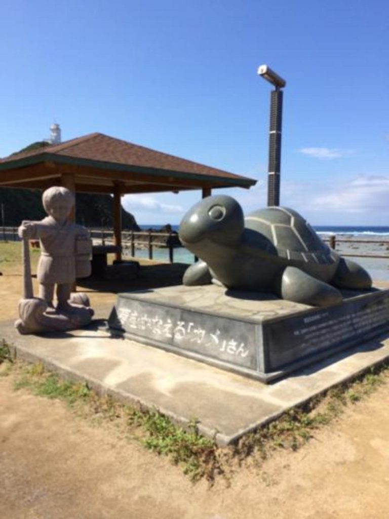 笠利半島東海岸海中公園-奄美大島-
