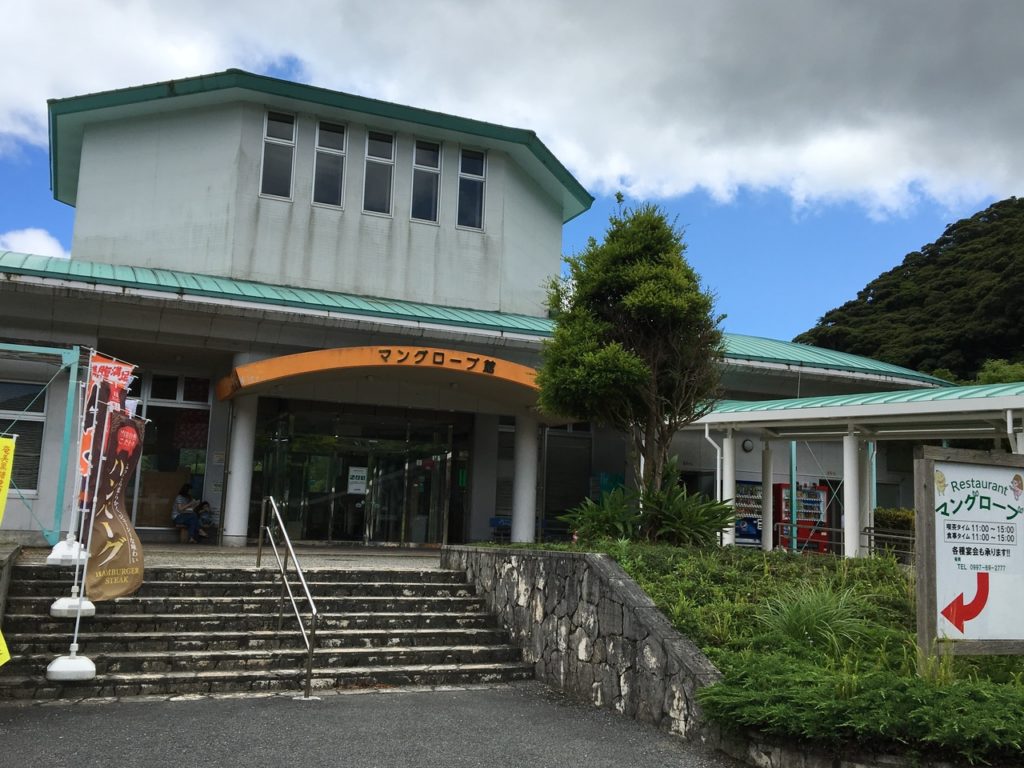 奄美大島のマングローブカヌー体験！服装やおすすめツアーをご紹介