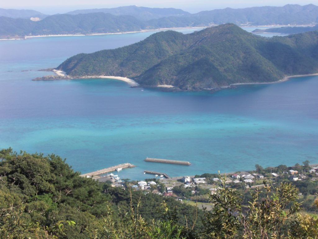奄美自然観察の森-奄美大島-