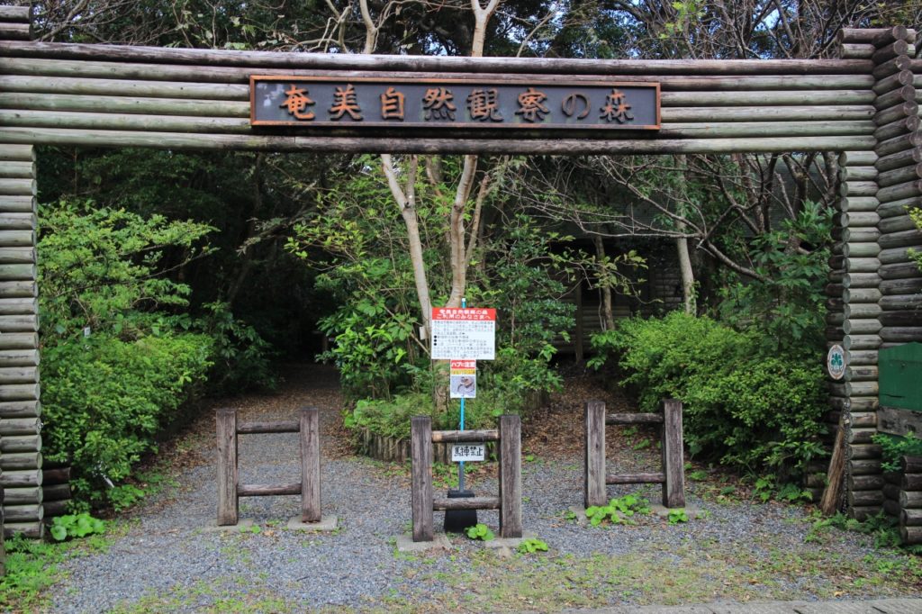 奄美自然観察の森-奄美大島-