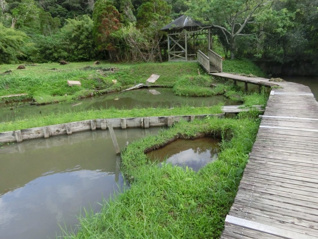 奄美大島の本場奄美大島紬泥染公園