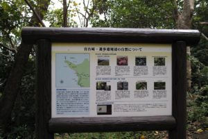 奄美大島の国定公園宮古崎