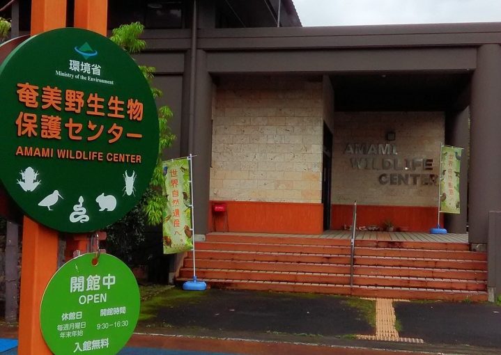奄美大島の奄美野生生物保護センター