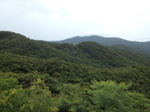 奄美大島の湯湾岳