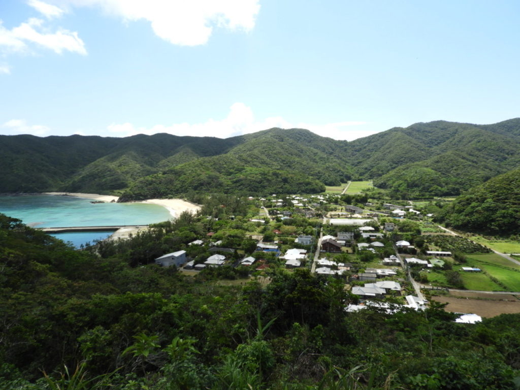 奄美大島が世界自然遺産に登録された理由とは？旅行前に知るべき魅力・注意点・おすすめアクティビティガイド