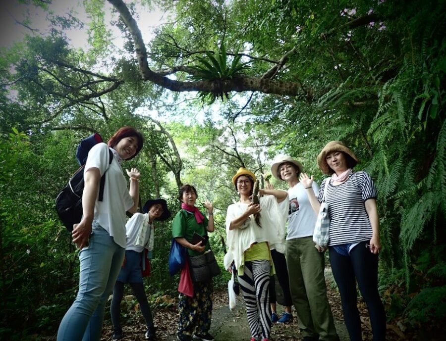 【奄美大島/1日】＜貸切1組限定＞マングローブ原生林カヌー＆絶景フォトツアー＜写真・動画無料プレゼント&1名から参加OK＞（No.159）