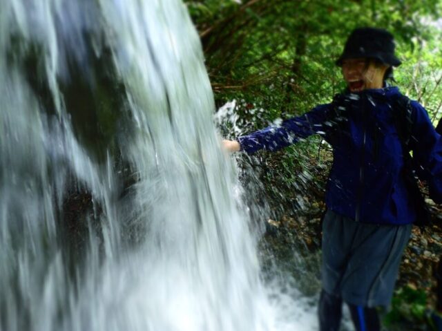 原生林ツアー　滝