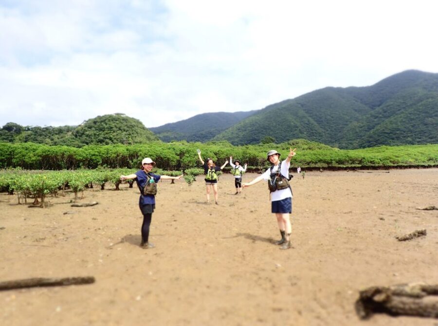 【奄美大島/1日】＜貸切1組限定＞マングローブ原生林カヌー＆絶景フォトツアー＜写真・動画無料プレゼント&1名から参加OK＞（No.159）