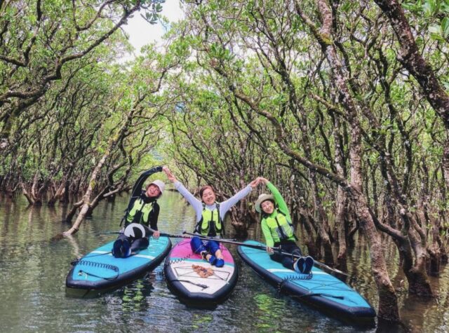 【奄美大島】ガイド貸切案内も可能！マングローブ原生林をのんびりSUP探検ツアー