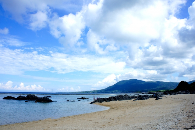 生命の宝庫「徳之島」の魅力とは？徳之島への行き方と絶景スポットを厳選してご紹介！