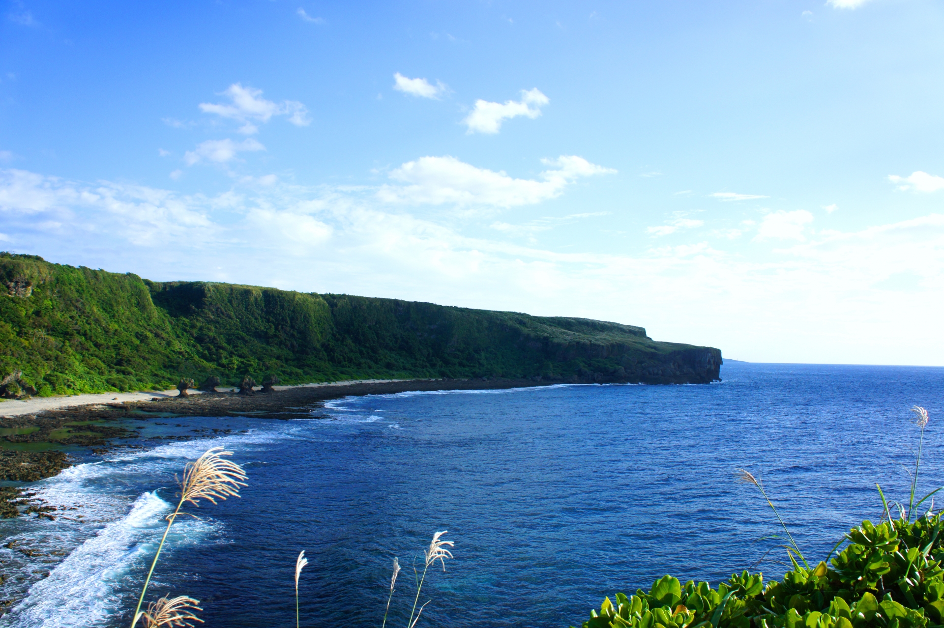 生命の宝庫「徳之島」の魅力とは？徳之島への行き方と絶景スポットを