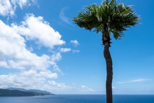 奄美大島の4月の気温や服装は？海開きの4月におすすめのアクティビティや観光スポットもご紹介！