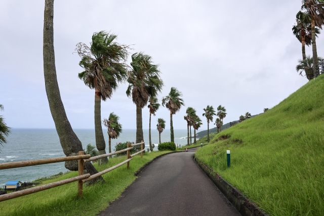 奄美大島　台風