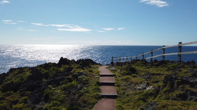 生命の宝庫「徳之島」の魅力とは？徳之島への行き方と絶景スポットを厳選してご紹介！