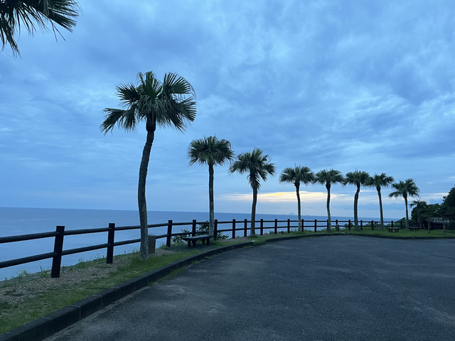 ひとり旅でなぜ奄美大島？おすすめスポットや一人参加OKの人気アクティビティをご紹介