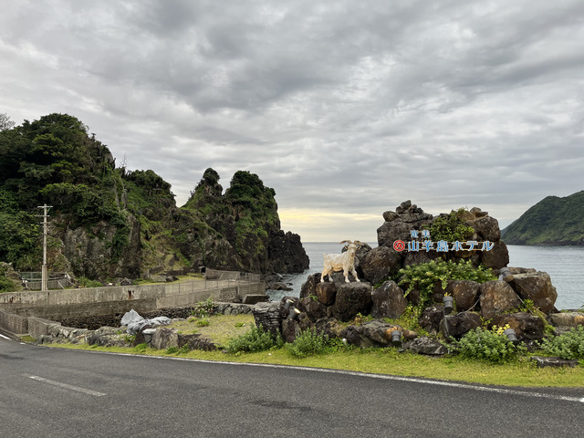 ひとり旅でなぜ奄美大島？おすすめスポットや一人参加OKの人気アクティビティをご紹介