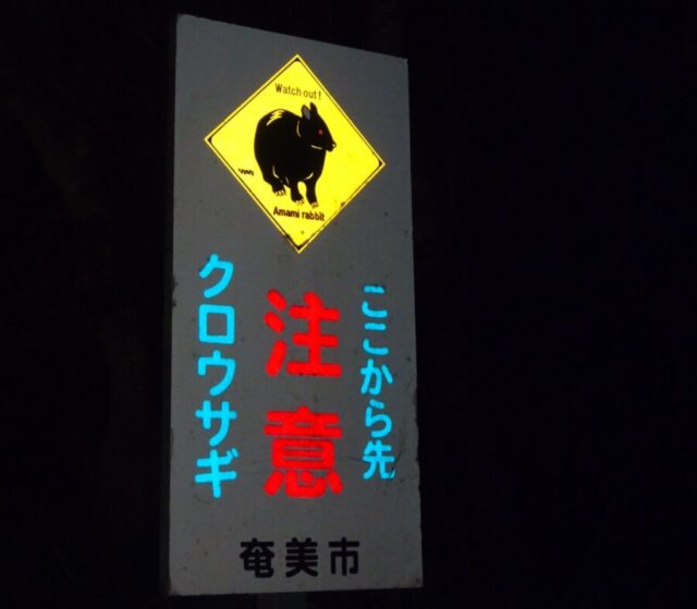 ナイトツアー 看板