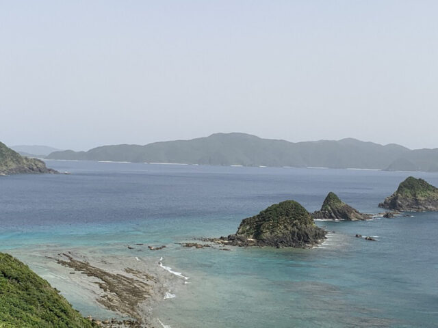 奄美大島の珍しい生き物図鑑｜固有種や絶滅危惧種に出会えるスポットも紹介！
