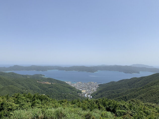 奄美大島の珍しい生き物図鑑｜固有種や絶滅危惧種に出会えるスポットも紹介！