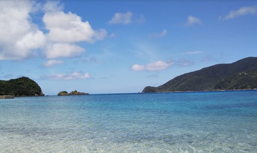 奄美大島