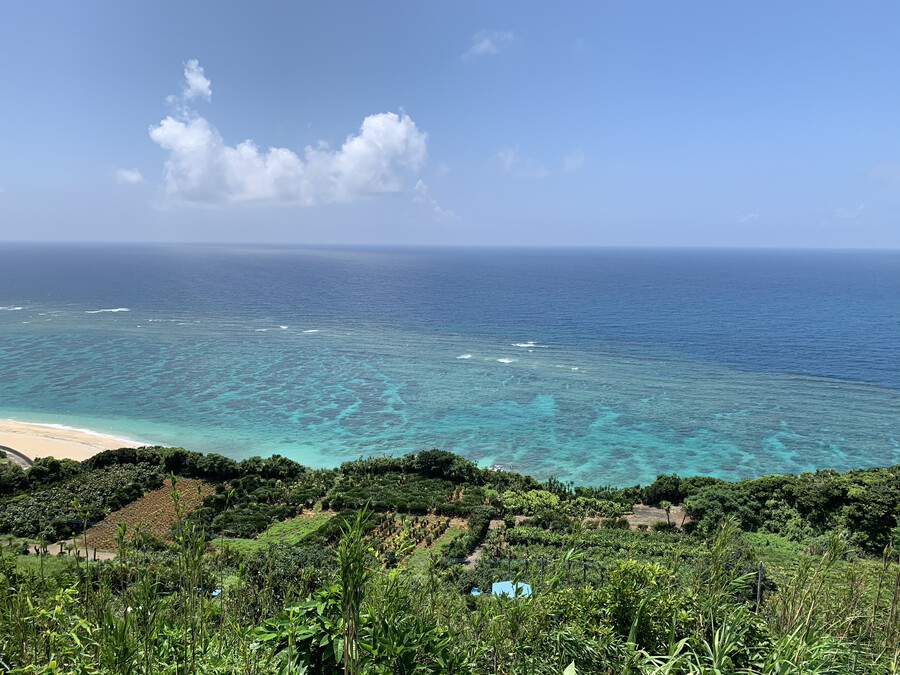 奄美大島