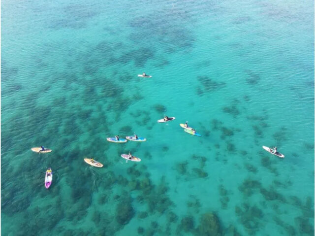 奄美大島の透き通った海でSUP(スタンドアップパドルボード)を体験するグループ