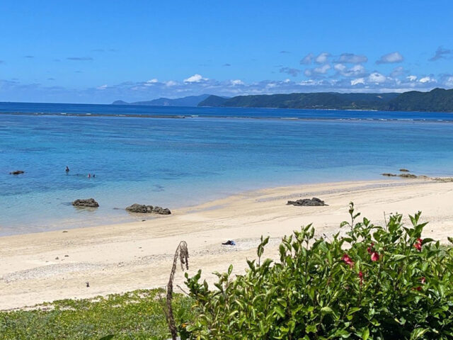 奄美北部まるごと周遊ツアー