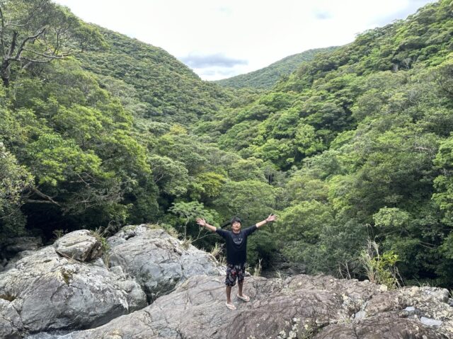 マングローブ　トレッキング　奄美