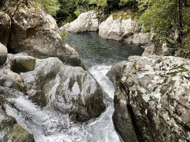 マングローブ　トレッキング　奄美