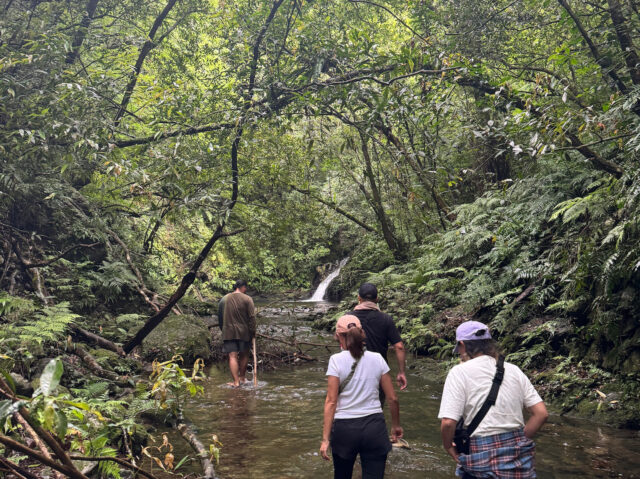 奄美大島　川ツアー　滝遊び