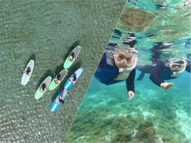 奄美大島でSUPとシュノーケリングを行う人々