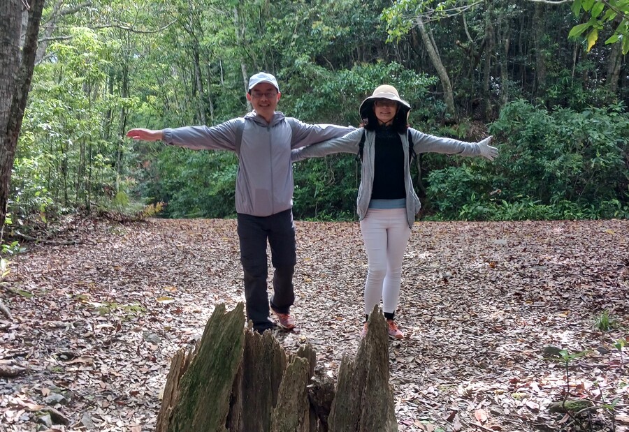 【奄美/半日】世界自然遺産の森探検！金作原原生林ゆったり4kmトレッキング＜送迎あり＞（No.168）