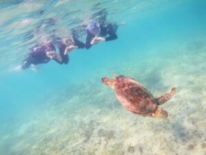 【奄美大島/1日】＜ライセンス必須＞神秘の青とサンゴの楽園を満喫！奄美大島で感動のビーチダイビング体験《少人数制・1名参加OK》