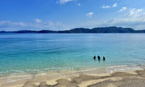【奄美大島/1日】＜ライセンス必須＞神秘の青とサンゴの楽園を満喫！奄美大島で感動のビーチダイビング体験《少人数制・1名参加OK》