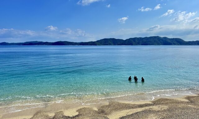 【奄美大島/半日】＜ライセンス不要・初心者OK＞透明度抜群ビーチで熱帯魚と泳ぐ！半日体験ダイビングツアー《少人数制・1名参加OK》