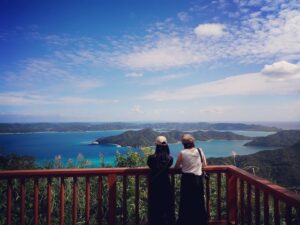 【奄美大島/1日】＜貸切1組限定＞マングローブ原生林カヌー＆絶景フォトツアー＜写真・動画無料プレゼント&1名から参加OK＞