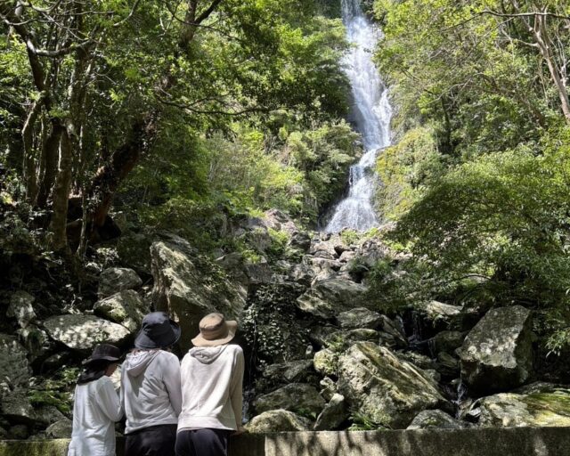 奄美大島　フナンギョの滝