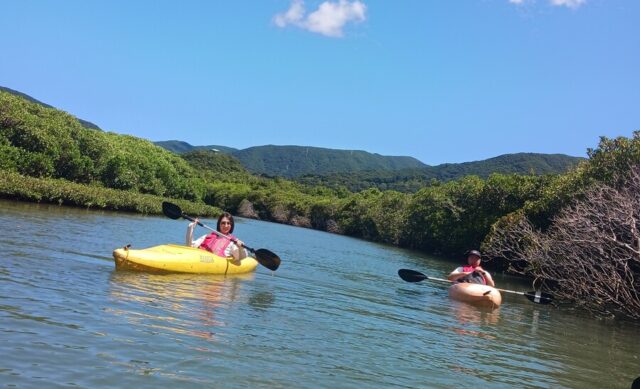 マングローブカヌー2024.8