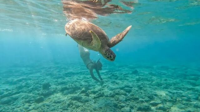 SUP Yoga on Amami Oshima