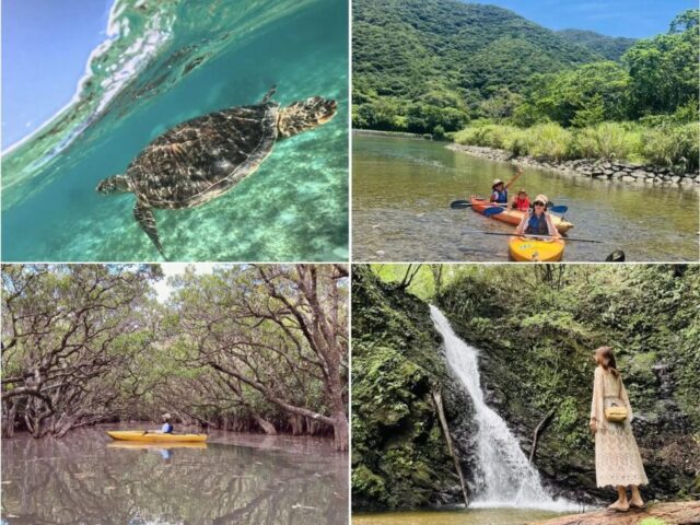 奄美大島　カヌー　滝　　ウミガメ